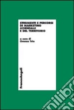 Strumenti e percorsi di marketing aziendale e del territorio libro