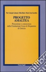 Progetto Amaltea. Percezione e conoscenza della Fondazione Cassa di Risparmio di Gorizia