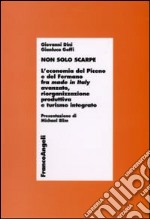 Non solo scarpe. L'economia del Piceno e del Fermano fra made in Italy avanzato, riorganizzazione produttiva e turismo integrato libro