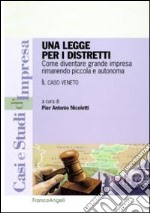 Una Legge per i distretti. Come diventare grande impresa rimanendo piccola e autonoma. Il caso Veneto libro