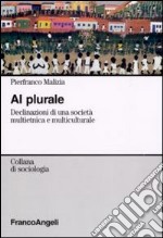 Al plurale. Declinazioni di una società multietnica e multiculturale libro