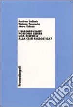 I Biocarburanti possono essere una risposta alla crisi energetica?