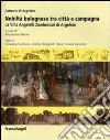 Nobiltà bolognese tra città e campagna. La villa Angelelli Zambeccari di Argelato libro di Marino A. (cur.)