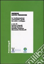 Imprese sotto pressione. Le trasformazioni economiche locali tra crisi e sviluppo libro