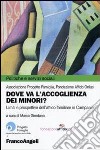 Dove va l'accoglienza dei minori? Limiti e prospettive dell'affido familiare in Campania libro di Giordano M. (cur.)