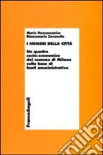 I numeri della città. Un quadro socio-economico del comune di Milano sulla base di fonti amministrative libro