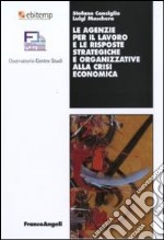 Le agenzie per il lavoro e le risposte strategiche e organizzative alla crisi economica libro