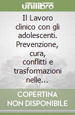 Il Lavoro clinico con gli adolescenti. Prevenzione, cura, conflitti e trasformazioni nelle istituzioni e nei contesti di vita libro