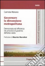 Governare la dimensione metropolitana. Democrazia ed efficienza nei processi di governo dell'area vasta libro