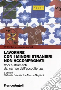 Lavorare con i minori stranieri non accompagnati. Voci e strumenti dal campo dell'accoglienza