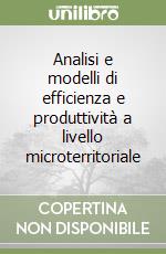 Analisi e modelli di efficienza e produttività a livello microterritoriale libro