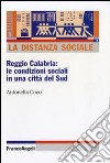 La distanza sociale. Reggio Calabria: le condizioni sociali in una città del sud libro