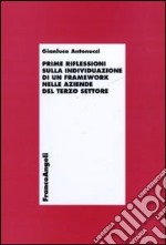 Prime riflessioni sull'individuazione di un framework nelle aziende del terzo settore libro