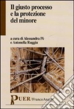 Il giusto processo e la protezione del minore libro