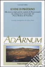 Le vene di Pratolino. Alla ricerca degli antichi condotti di Montesenario che animarono le meraviglie del Parco Mediceo di Pratolino libro