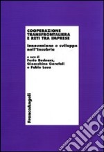 Cooperazione transfrontaliera e reti tra imprese. Innovazione e sviluppo nell'Insubria libro