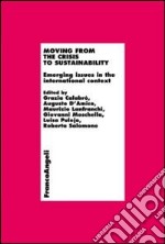 Moving from the crisis to sustainability. Emerging issues in the international context libro