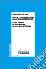 Dalla cogenerazine alla trigenerazione. Come ridurre la dipendenza energetica dell'Italia