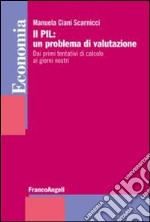 Il PIL: un problema di valutazione. Dai primi tentativi di calcolo ai giorni nostri libro