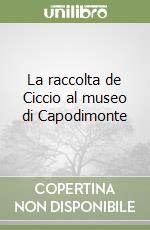 La raccolta de Ciccio al museo di Capodimonte libro