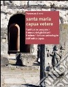 Santa Maria Capua Vetere. L'anfiteatro campano. Il museo dei gladiatori. Il mitreo. Il museo archeologico dell'antica Capua libro