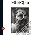 Mikel Gjokaj. Terre e cielo. Ediz. illustrata libro