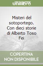 Misteri del sotoportego. Con dieci storie di Alberto Toso Fei