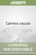 Camera oscura
