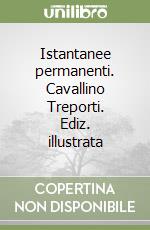 Istantanee permanenti. Cavallino Treporti. Ediz. illustrata libro