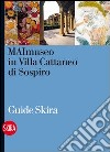 MAImuseo in Villa Cattaneo di Sospiro libro