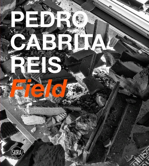 Pedro Cabrita Reis. Field