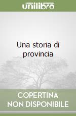 Una storia di provincia libro