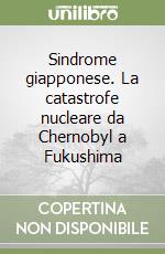 Sindrome giapponese. La catastrofe nucleare da Chernobyl a Fukushima libro