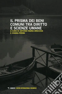 Il prisma dei beni comuni tra diritto e scienze umane