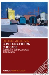 Come una pietra che cade. Esercizi di sopravvivenza in provincia libro