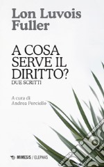 A cosa serve il diritto? Due scritti