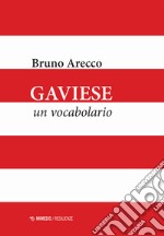 Gaviese. Un vocabolario libro