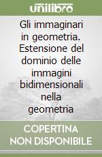 Gli immaginari in geometria. Estensione del dominio delle immagini bidimensionali nella geometria libro