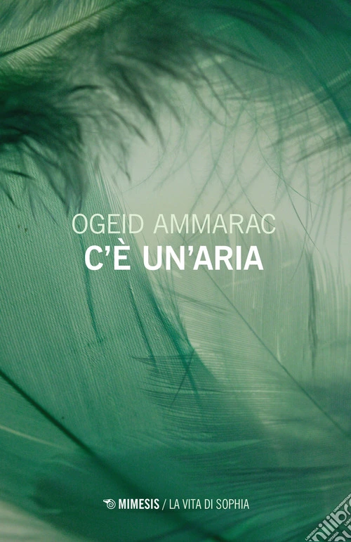 C'è un'aria