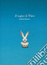 Il sogno di Theo libro