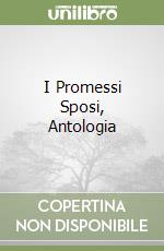 I Promessi Sposi, Antologia libro