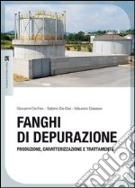 Fanghi di depurazione. Produzione, caratterizzazione e trattamento