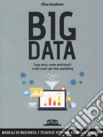 Big data. Cosa sono, come analizzarli e utilizzarli per fare marketing libro