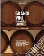 Grandi vini di piccole cantine. Oltre 400 etichette di qualità alla portata di tutti: un viaggio tra le terre, gli uomini, i piaceri del vino libro