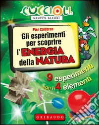 Gli esperimenti per scoprire l'energia della natura. 9 esperimenti con i 4 elementi. Con gadget libro