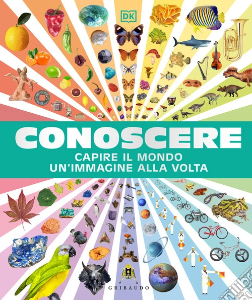 Conoscere. Capire il mondo un'immagine alla volta