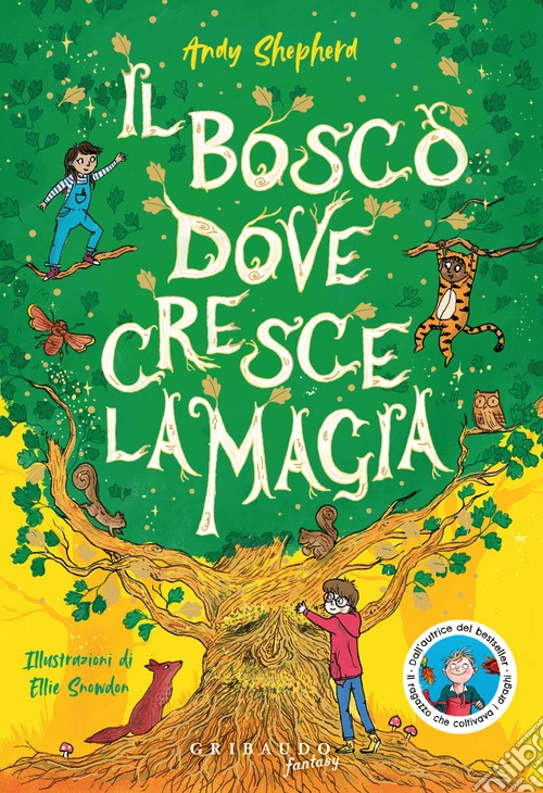 Il bosco dove cresce la magia. Ediz. illustrata