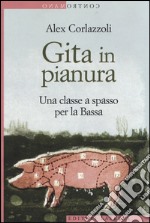 Gita in pianura. Una classe a spasso per la Bassa libro