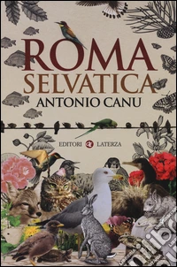 Roma selvatica