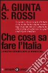 Che cosa sa fare l'Italia. La nostra economia dopo la grande crisi libro